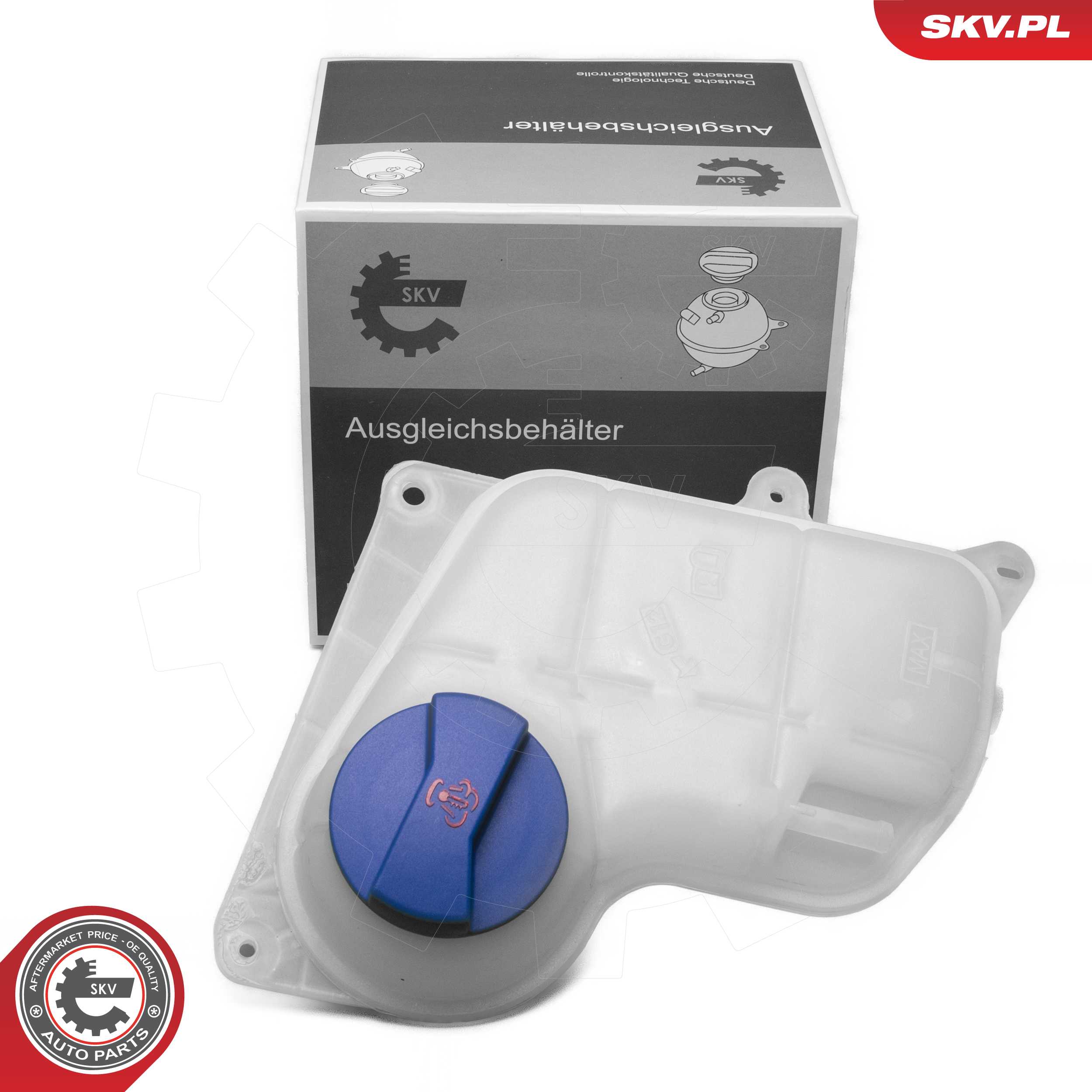 61SKV304