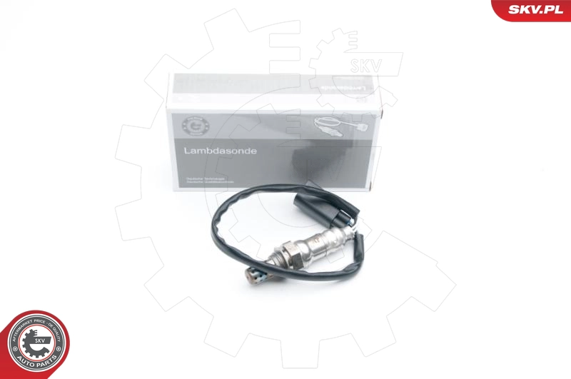 09SKV557