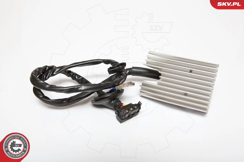 95SKV023