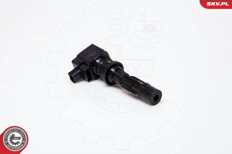 6E5Z-12029AA