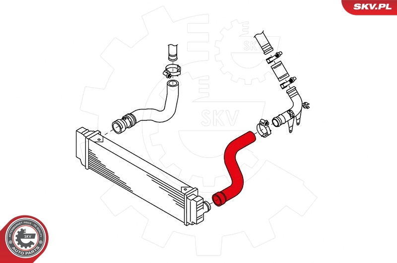 43SKV005