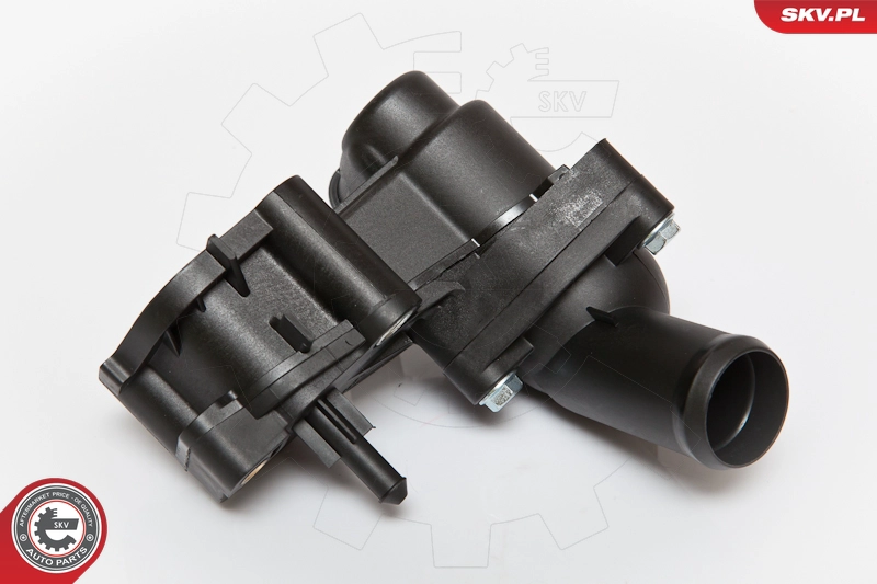 20SKV018
