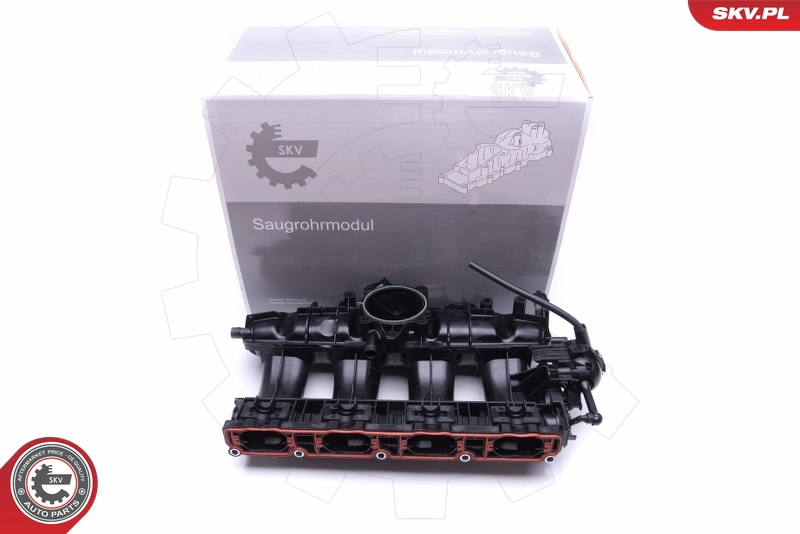 49SKV010