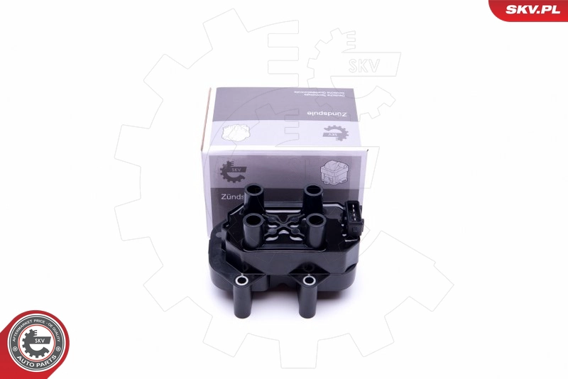 03SKV299