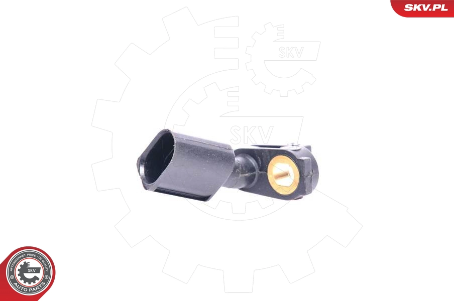 06SKV024