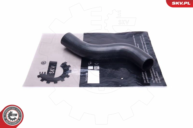 54SKV024