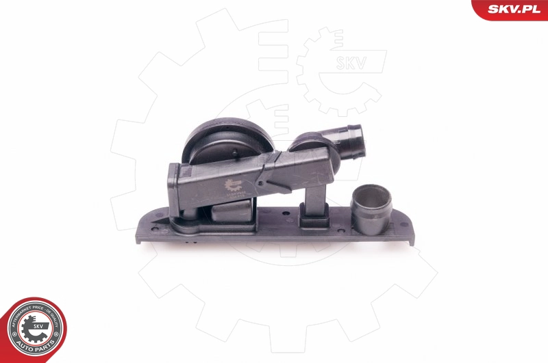 31SKV002