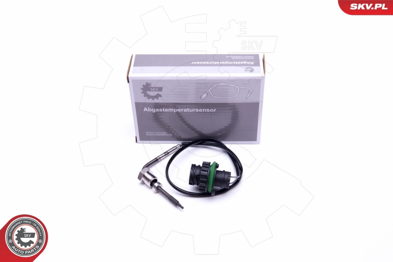 30SKV306