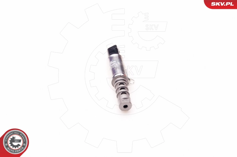 39SKV010