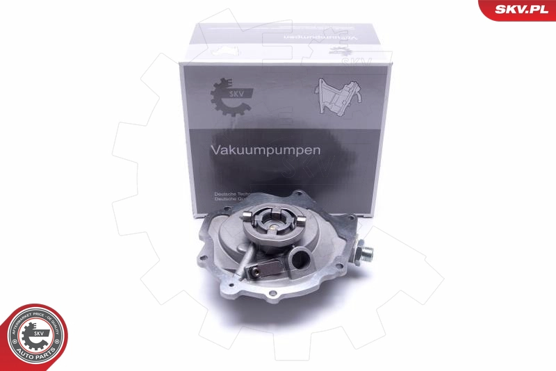 18SKV029