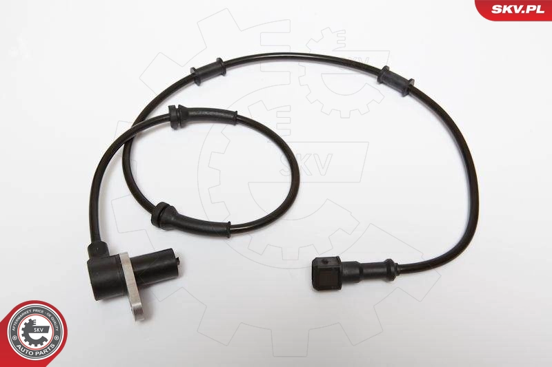 06SKV188