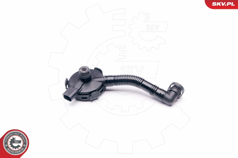 31SKV020