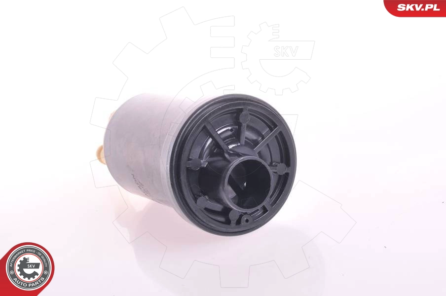 02SKV276