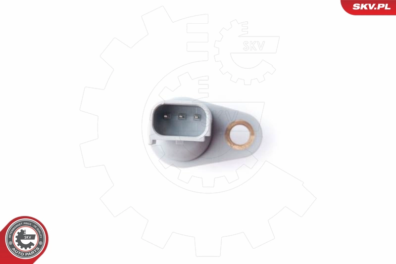 17SKV260