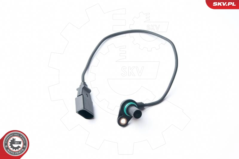 17SKV270