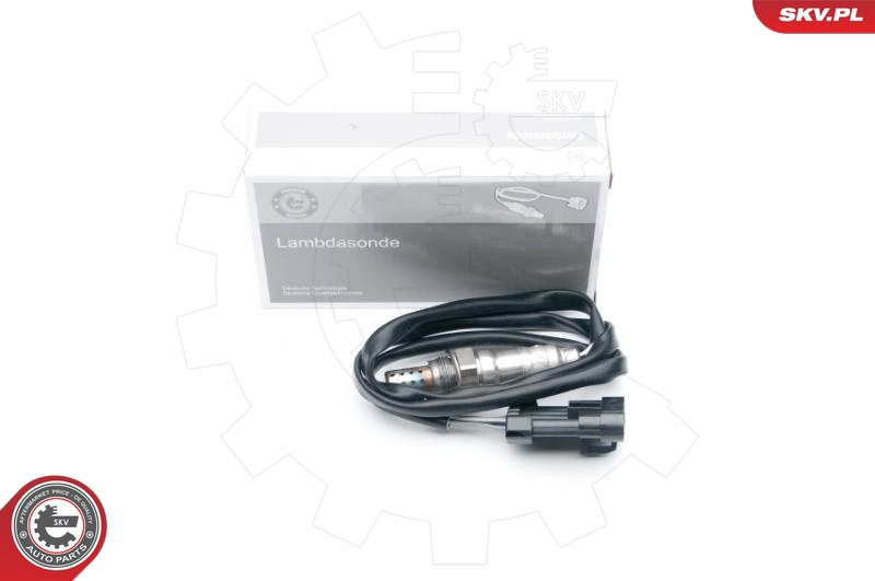 09SKV633