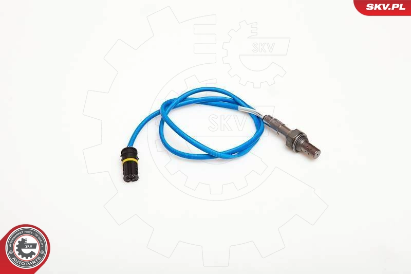 09SKV077