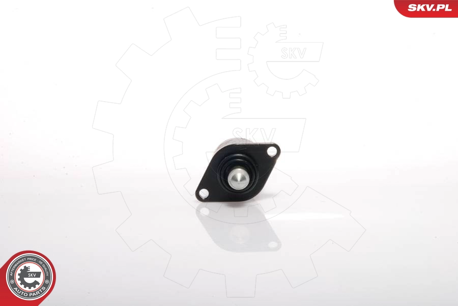 08SKV025