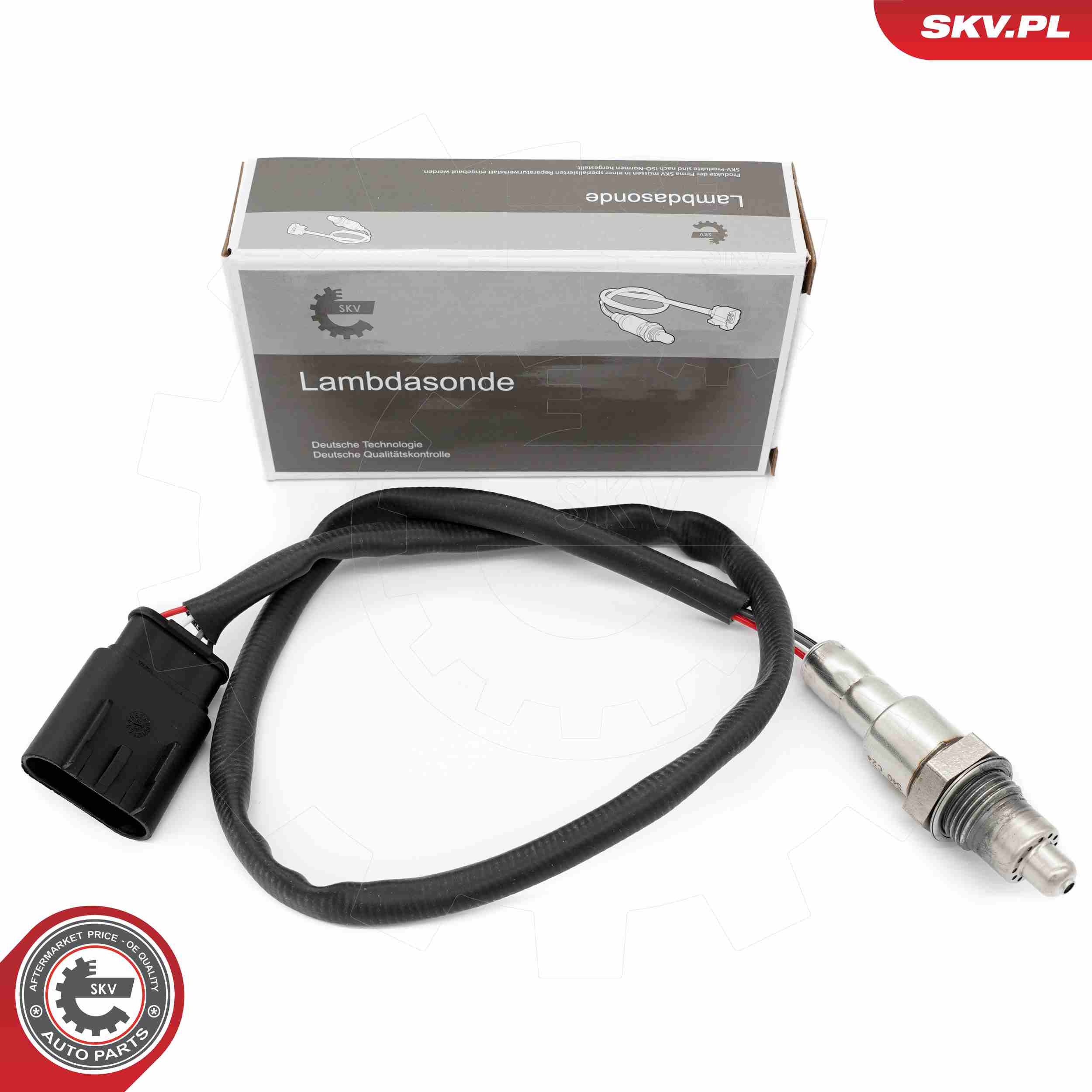 09SKV167