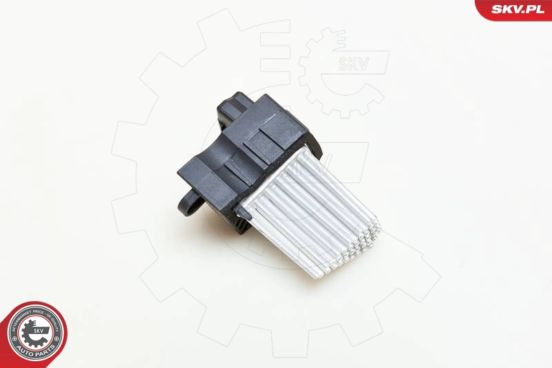 95SKV001