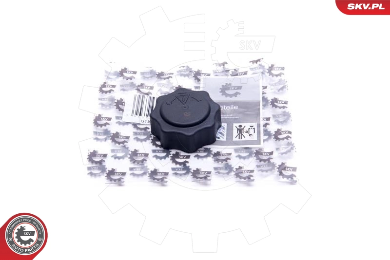 61SKV016
