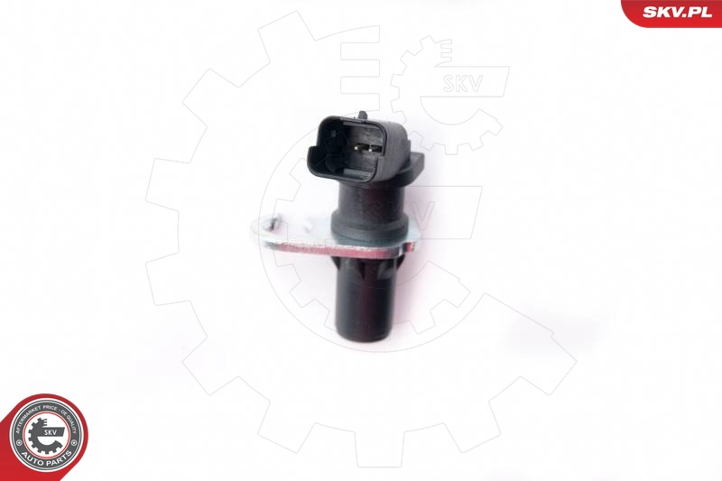 17SKV309