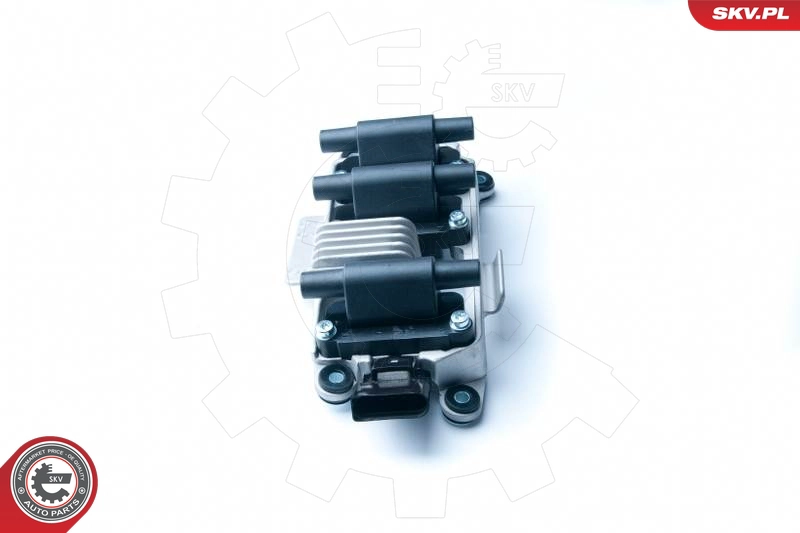 03SKV216