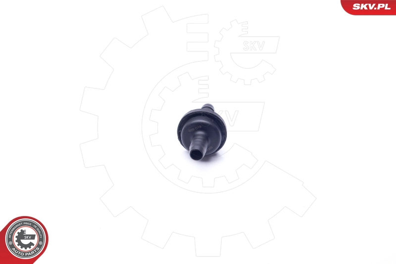 31SKV063