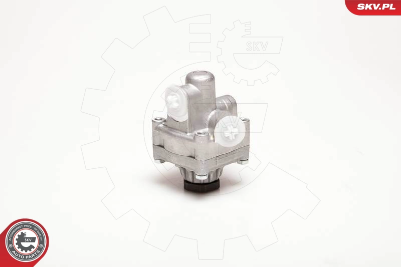 10SKV017
