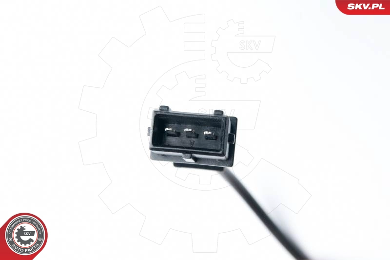 17SKV293