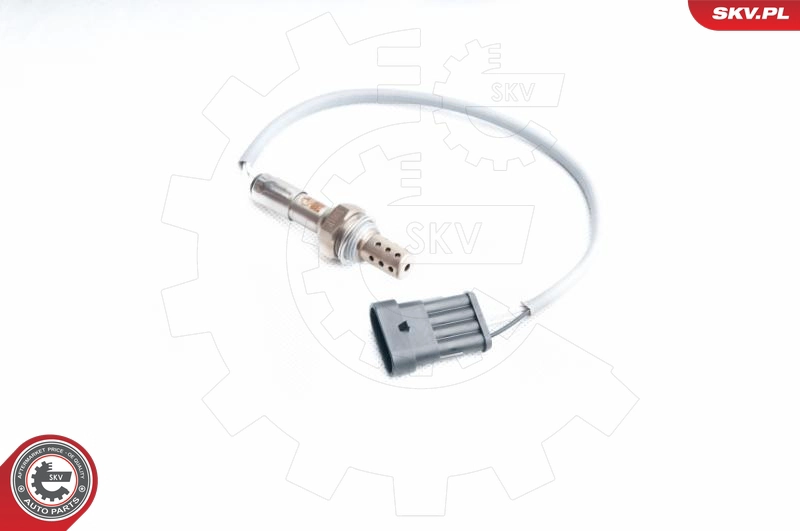 09SKV104