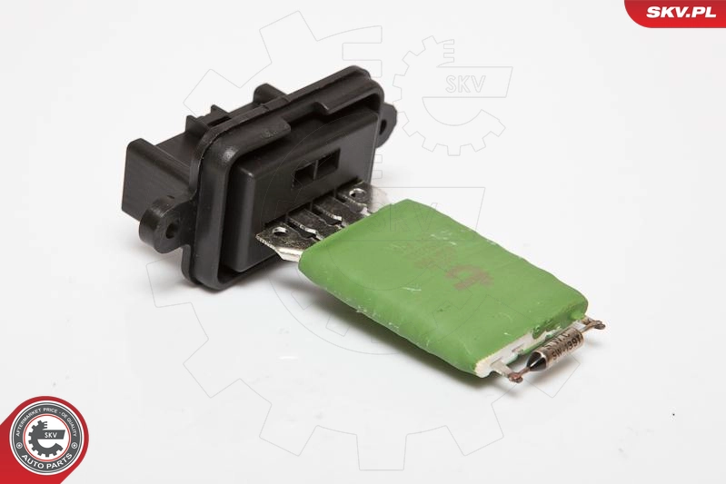 95SKV068