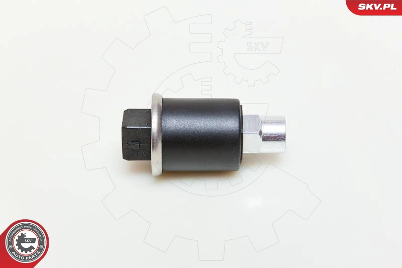 95SKV101