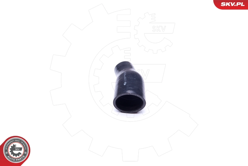 24SKV820