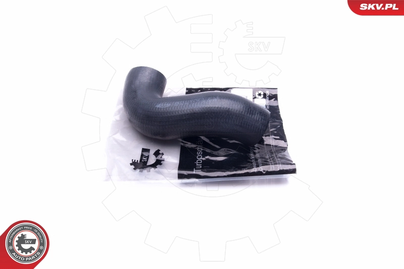 43SKV171
