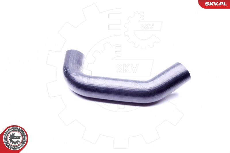 43SKV066