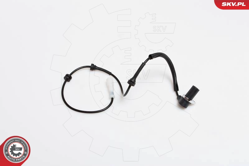 06SKV167