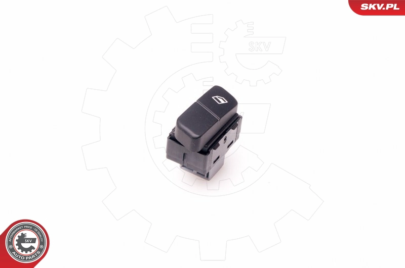 37SKV308