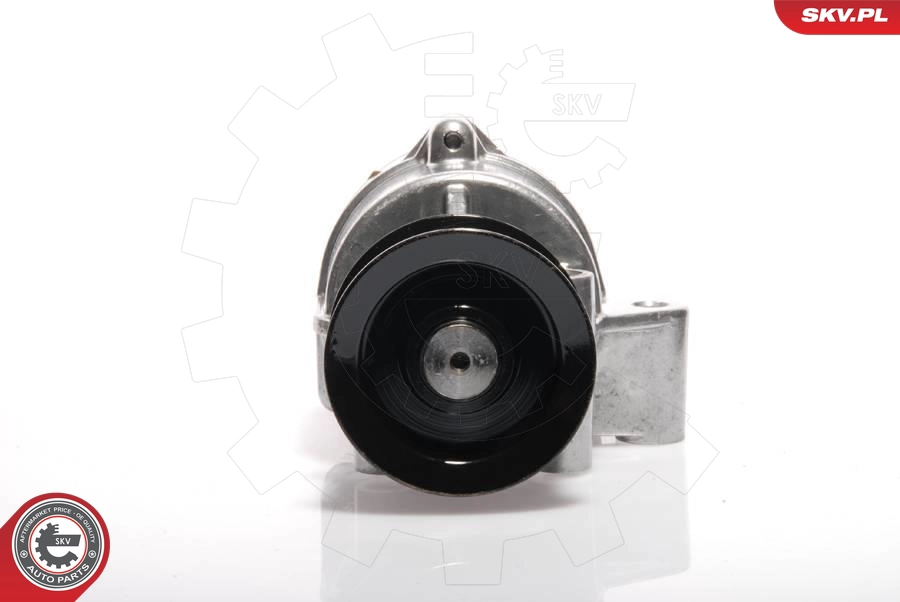 18SKV002