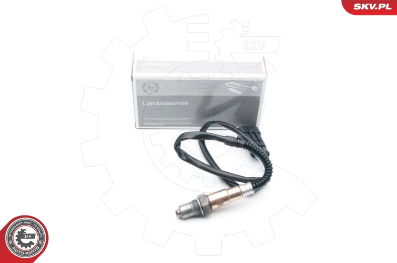 09SKV638