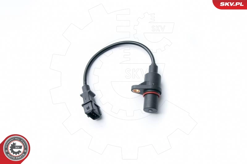 17SKV302