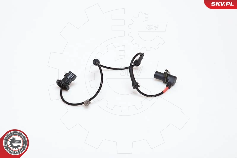 06SKV169