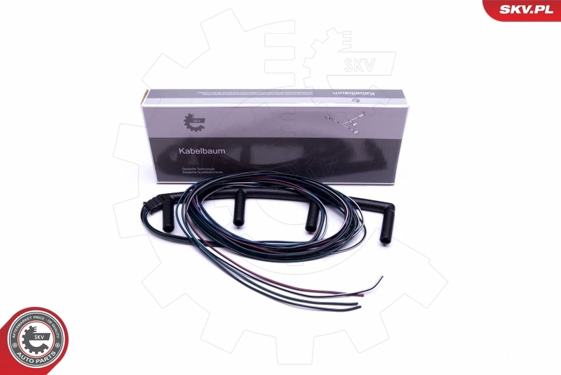 53SKV012