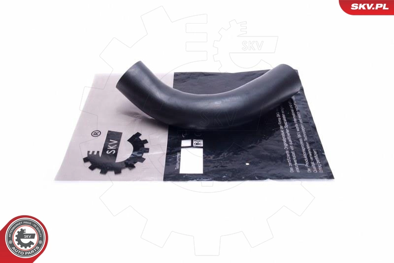 54SKV018