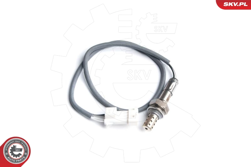 09SKV097