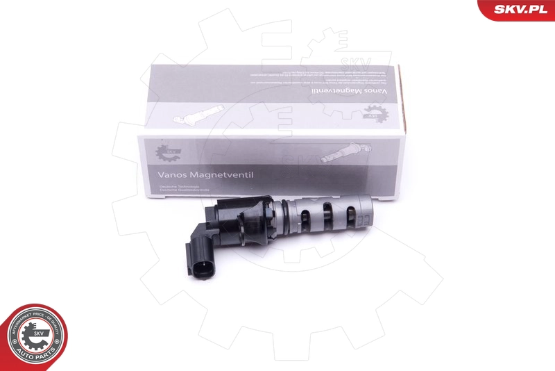 39SKV062