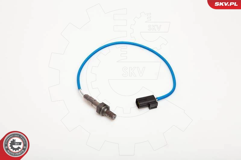 09SKV012