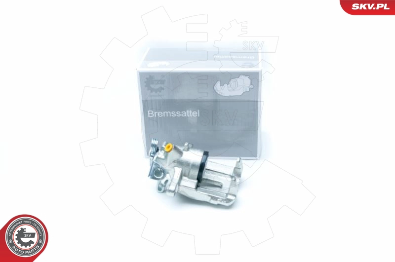 23SKV213