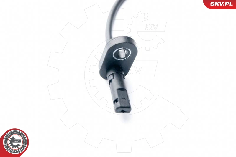 06SKV223