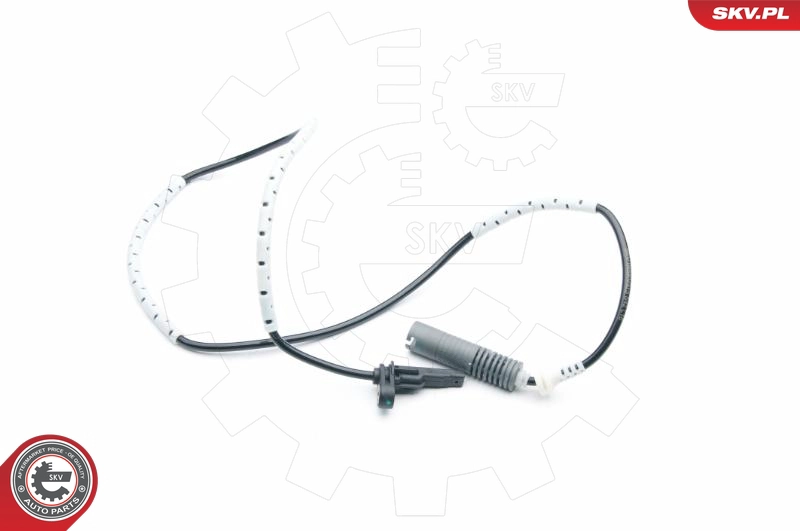 06SKV315